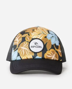 Seguir O Sun Trucker