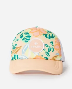 Seguir O Sun Trucker
