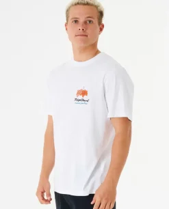 T-shirt Postcards Hibiscus